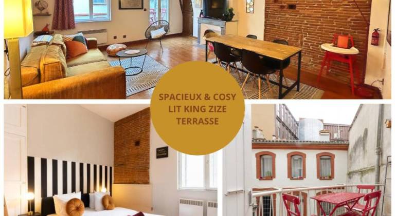 Appartement " L'Ambree " - Terrasse - Calme - WIFI - Plein Centre - Atypique in Toulouse