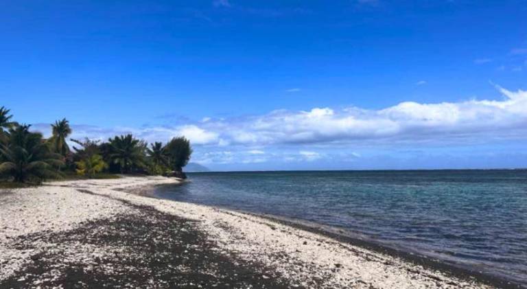 50 m&sup2; Ferienhaus