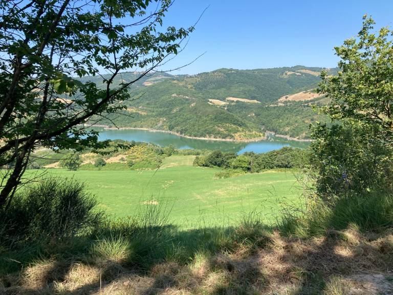 foto14