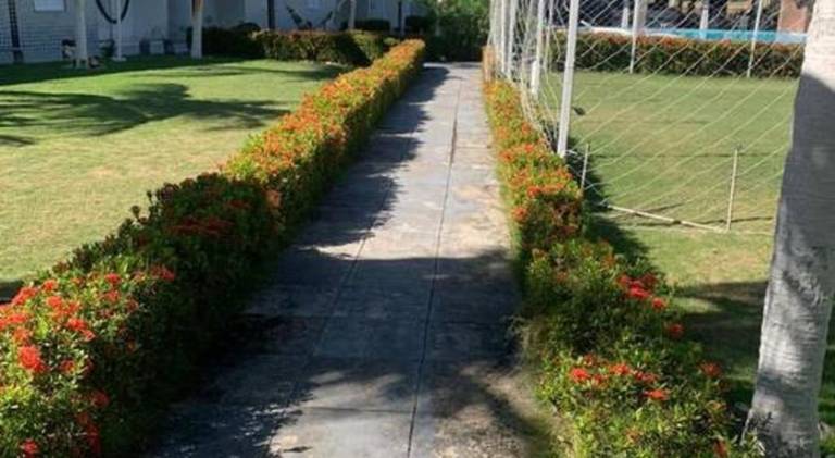 foto8