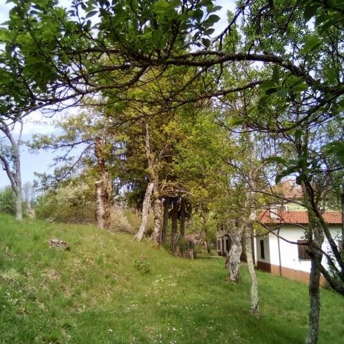foto11