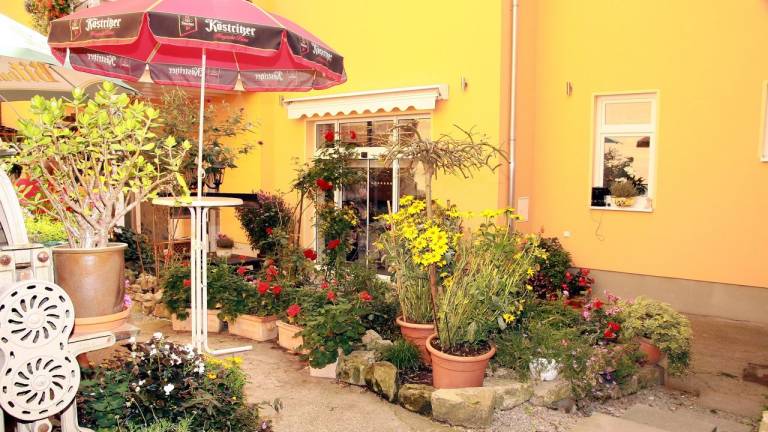 Ferienwohnung  Arnstadt