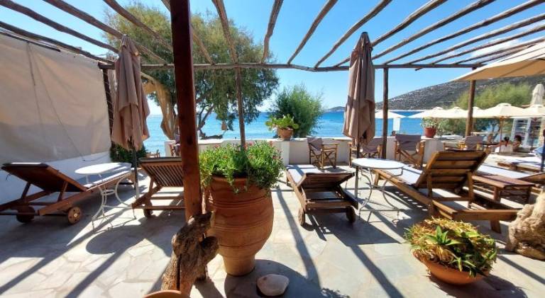 Beautiful holiday apartment with patio | Next to the beach | Pets are welcome — photo 2