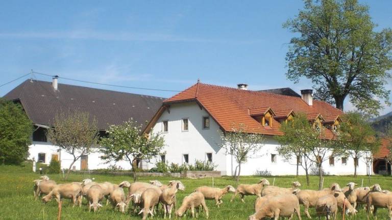 Ferienwohnung Liezen