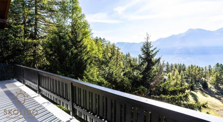 Chalet Dorle, Riederalp Golmenegg — photo 5