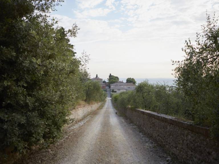 foto45