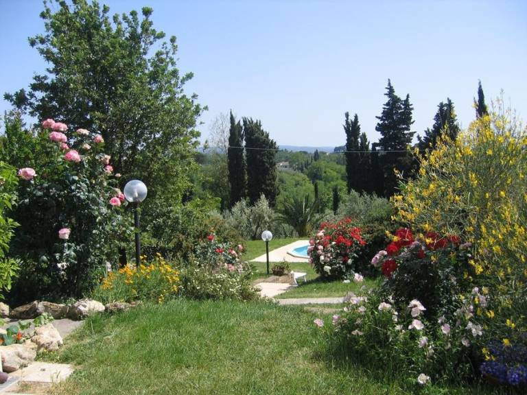 foto19