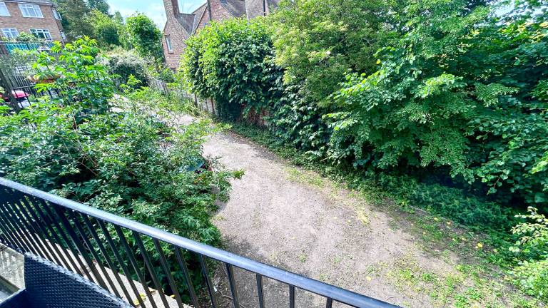 foto41