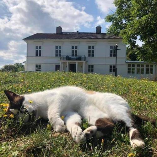 Amiralsgarden Verstorp