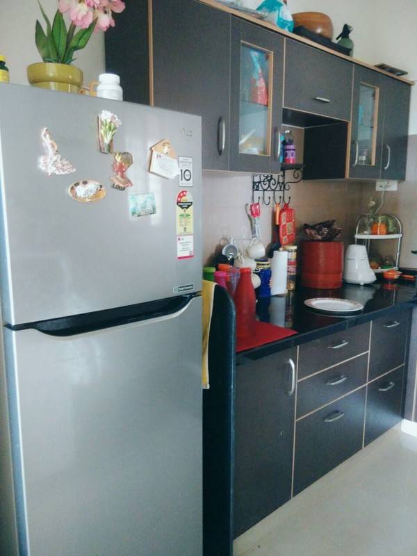 foto8
