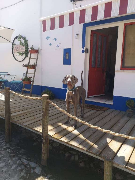 Casa Do Mestre Lau – In the Heart of Alentejo — photo 5