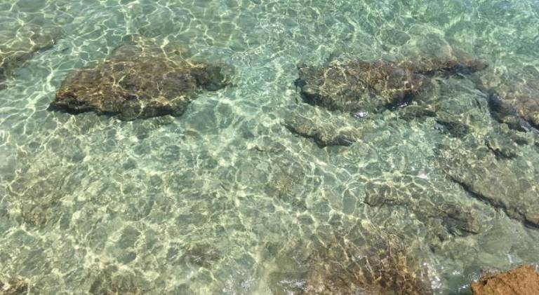 Spacious apartment with patio | Close to the beach | Pets are welcome in Messina
