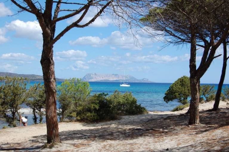 Appartamento vacanza Baia Sant'Anna