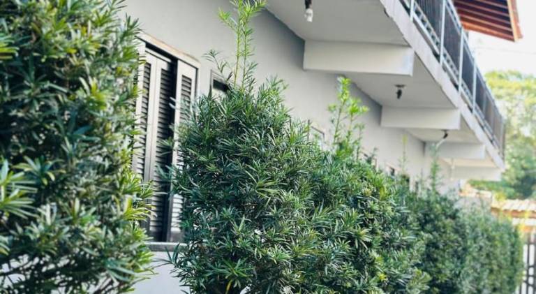 Serviced apartment with terrace, garden & pool | Pets allowed — photo 5