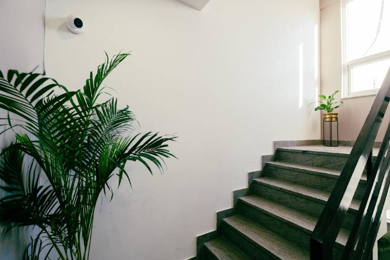 Serviced apartment | Pets allowed in Jaipur