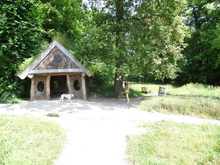 foto13