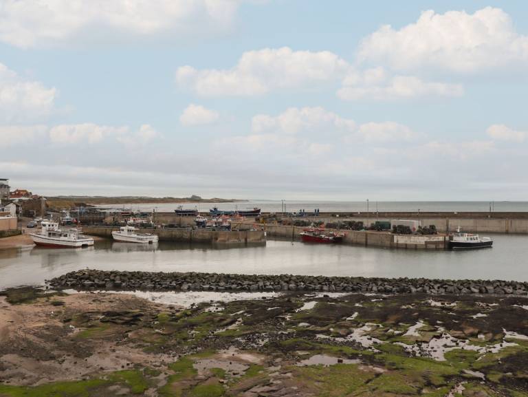 Dom wiejski Seahouses