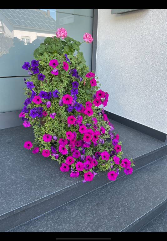 foto12