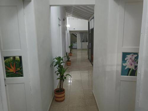 foto2