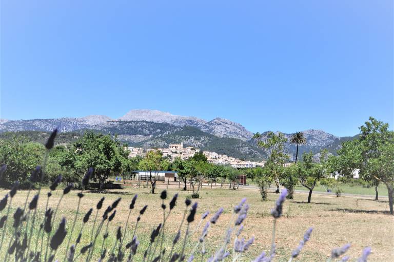 foto41