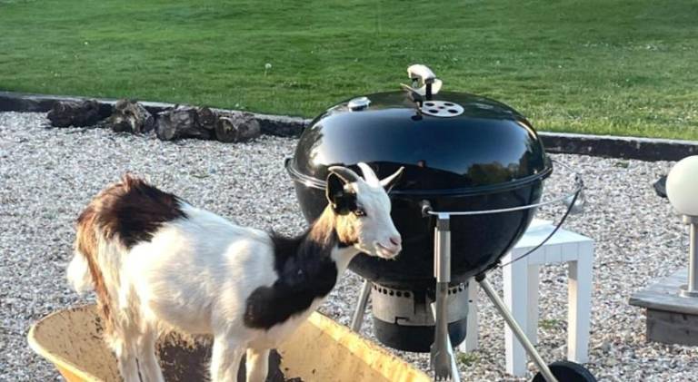 50 m&sup2; Ferienhaus