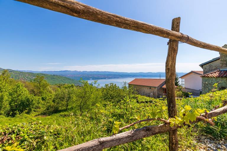 Fully equipped charming house with patio, grill & private pool | Sea view | Dogs allowed — photo 4