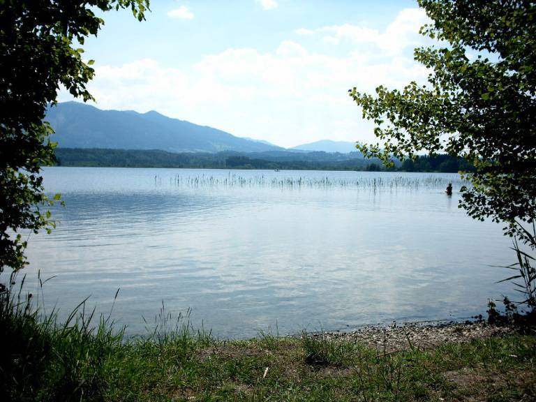 foto11