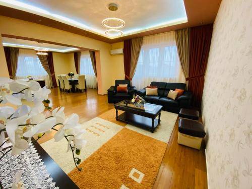 Apartament Turnișor