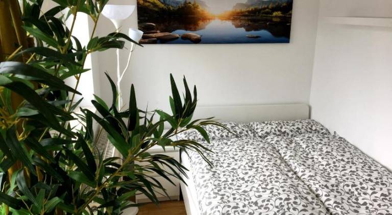 Ferienwohnung Regensburg