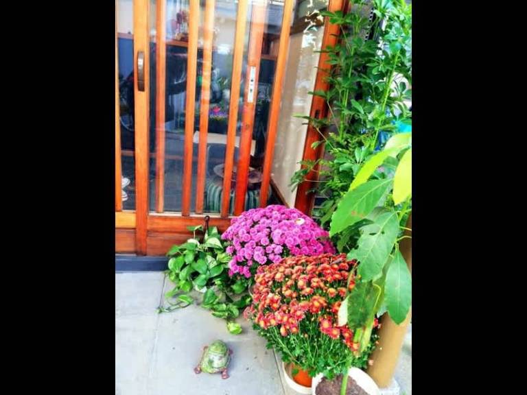 foto16