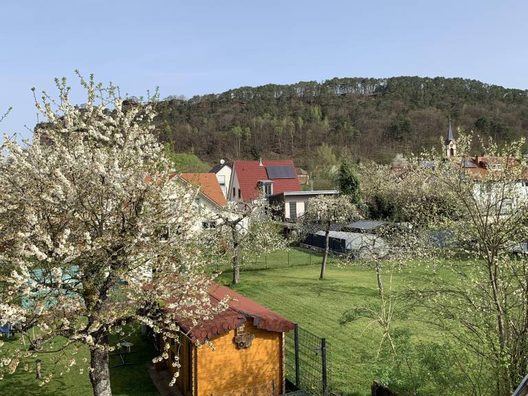 foto18