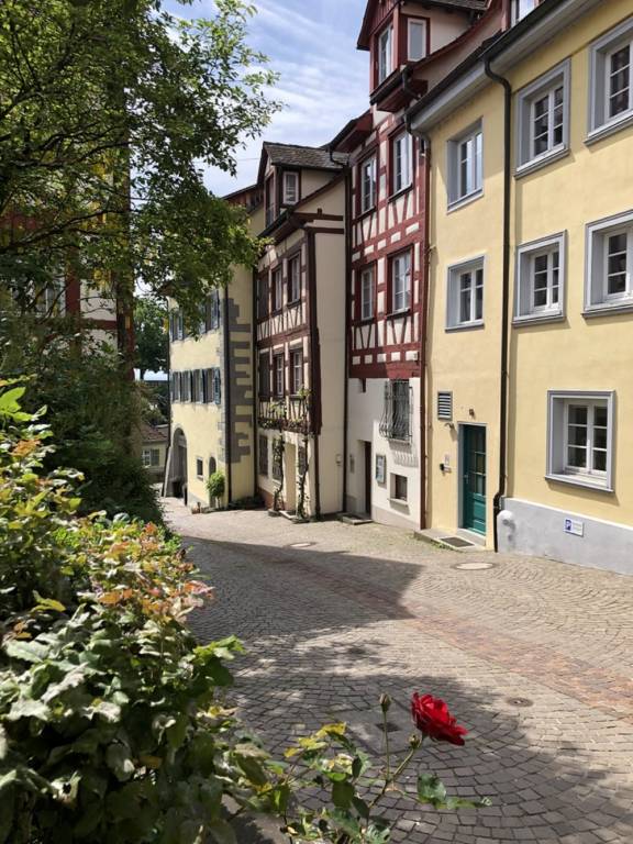 foto16