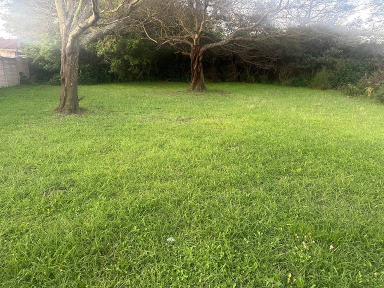 foto40