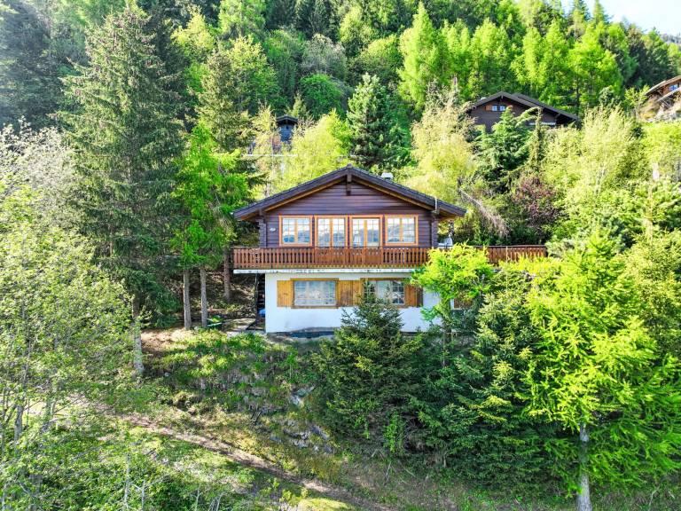 Villa Nendaz