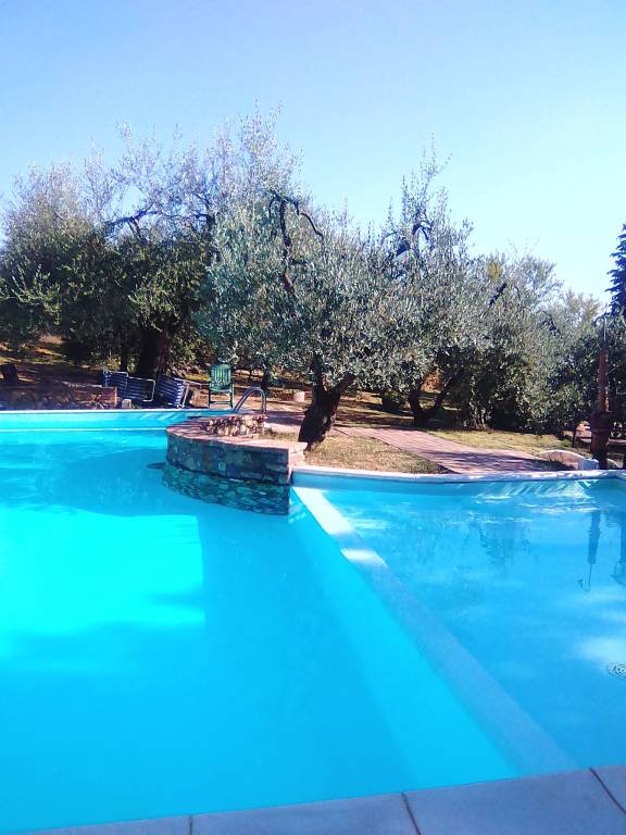 House with terrace, pool & garden | Panoramic view — photo 5