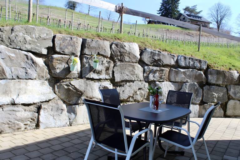 Ferienwohnung  Oberkirch