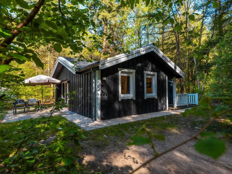 Vakantiepark De Wiltzangh Houtenborg Lodge