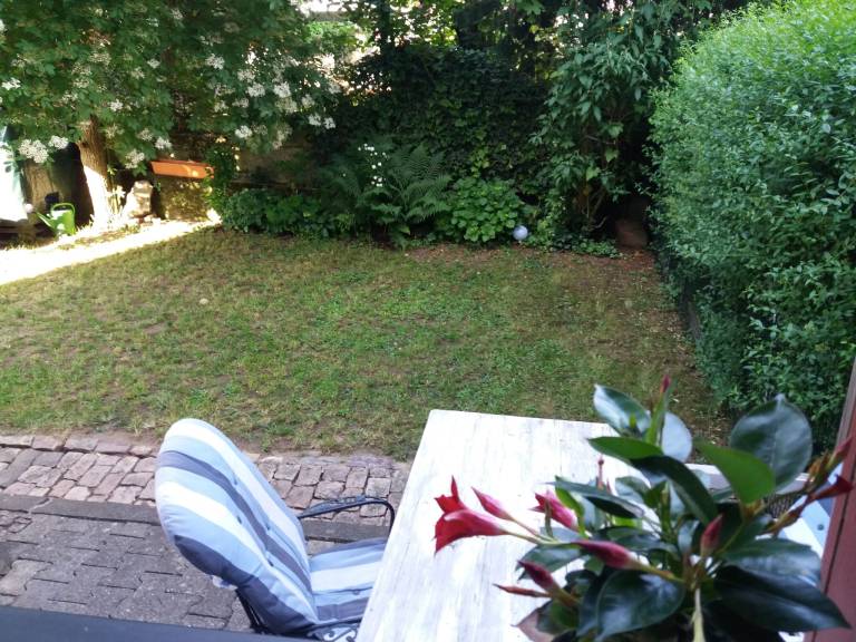foto14