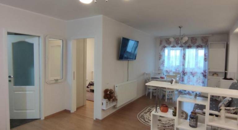 Beautiful rental apartment | Pet-friendly in Sibiu