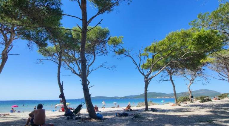 Beautiful holiday apartment | Next to the beach | Pet-friendly — photo 4
