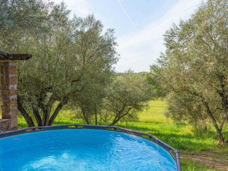 Beautiful vacation home with barbecue, terrace & private pool | Nature view | Pets are welcome — photo 3