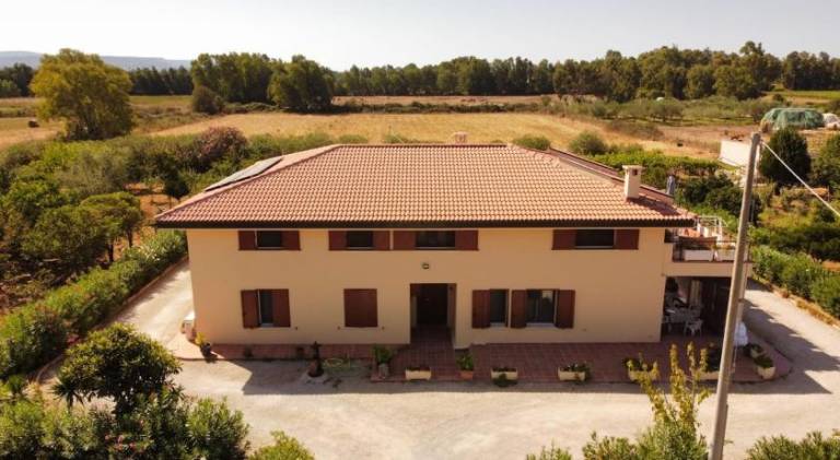 House | Pets allowed in Alghero