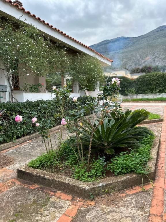 foto41