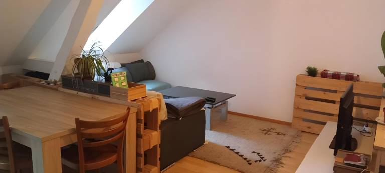 Gemütliche Dachwohnung — photo 3