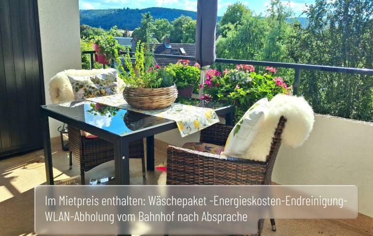 Ferienwohnung Bad Harzburg