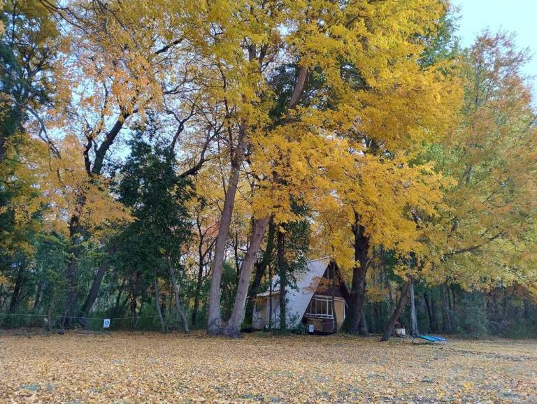 Cabin San Clemente