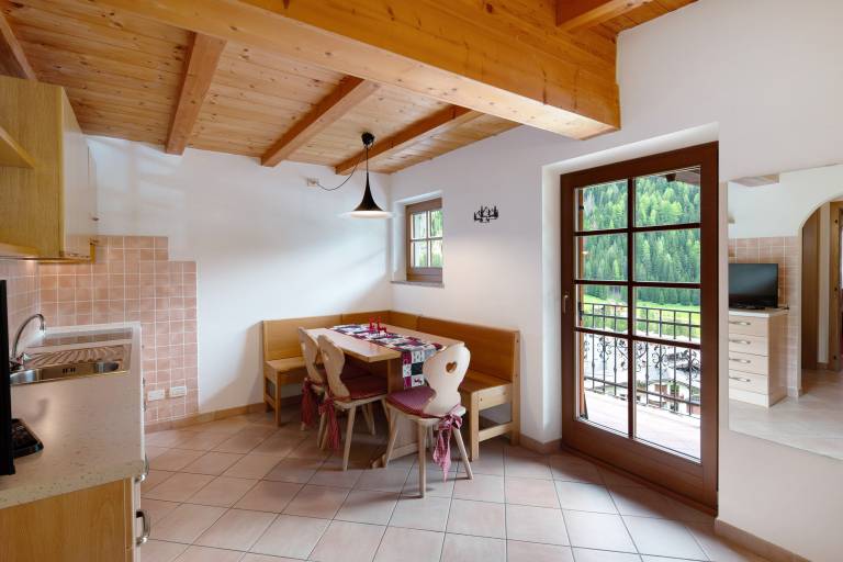 Beautiful holiday apartment with fast internet | Mountain view | Pets are welcome in Canazei