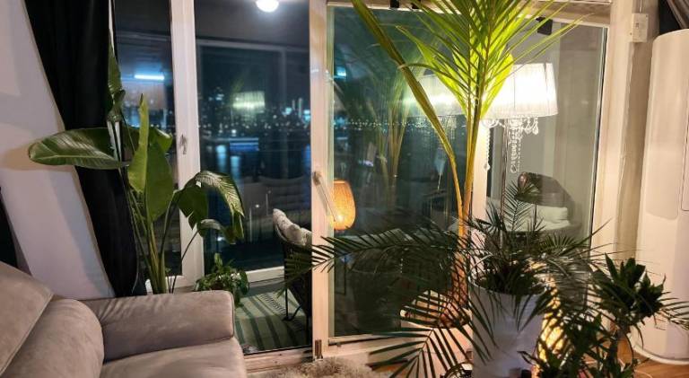 foto7