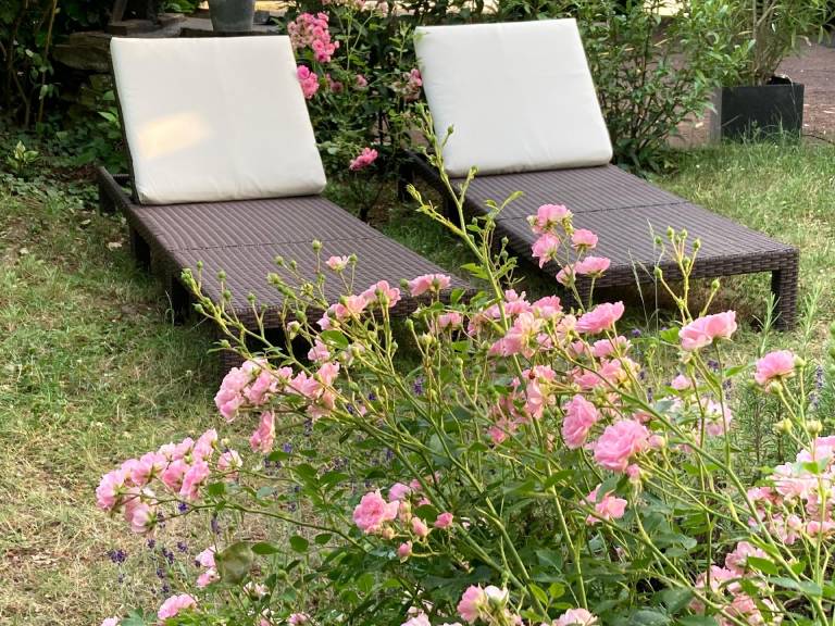 foto20