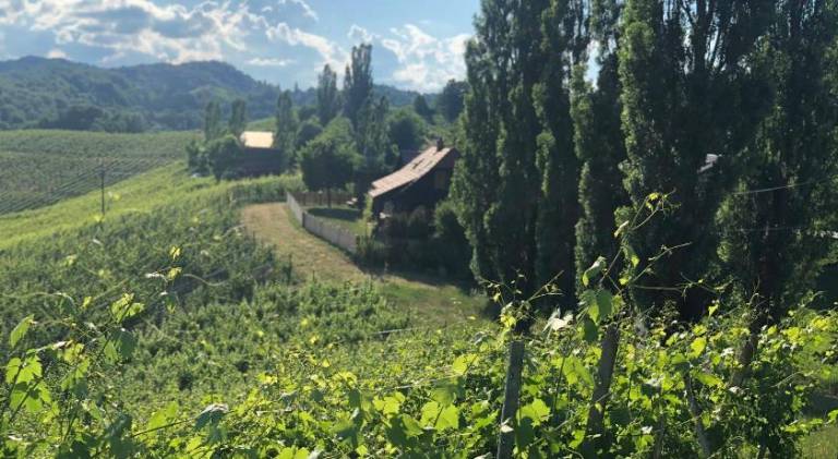 foto41